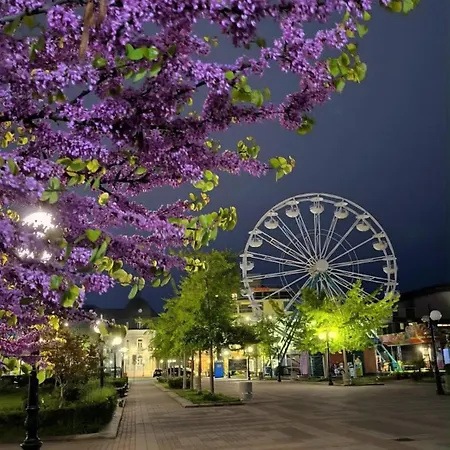 Appartement Hristovi &